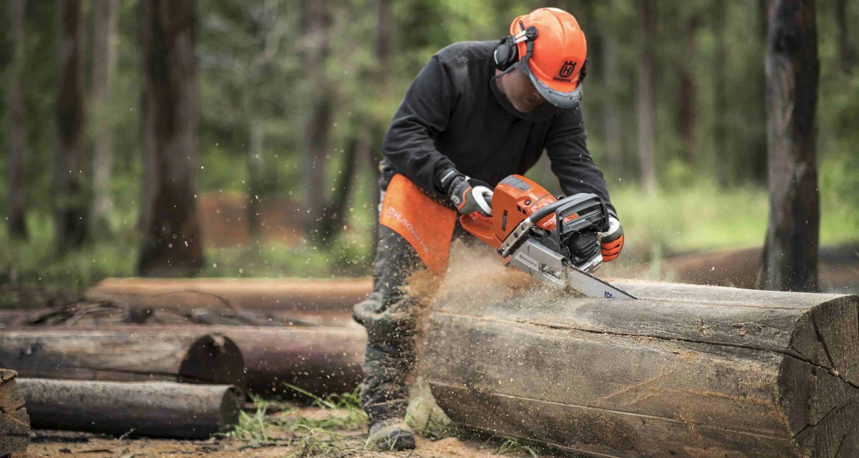 Пиленные рабочими. Бензопила Хускварна. Бензопила для леса. Лес Husqvarna. Бензопила на фоне леса.