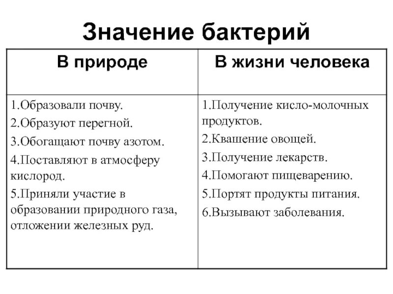 Минусы бактерий. Значение бактерий в жизни человека кратко. Значение бактерий в жизни человека. Таблица на тему роль бактерий в природе и жизни человека. Роль бактерий в природе и жизни человека таблица.