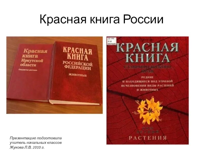 Красная книжка 2. Красная книжка 2. Красная книжка 2. Международная красная книга. Фотография красной книги.