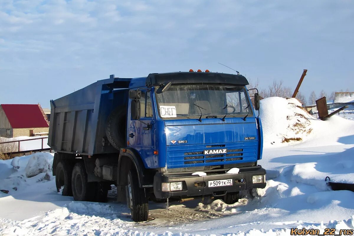 Купить камаз в новосибирской области. 199 КАМАЗ Алтайский край. 256 КАМАЗ Алтайский край. КАМАЗ Алтай. Грузовой самосвал Алтай.