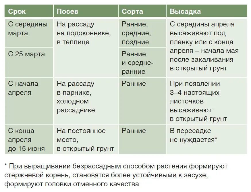 В какие дни сажать капусту. Сроки высадки капусты на рассаду. Сроки посева семян капусты на рассаду. Сроки посадки поздней капусты на рассаду. Сроки посадки рассады капусты на рассаду.