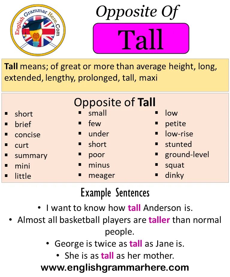 Tall на русском языке. Opposite. Tall opposite. Tall opposite Word. Opposite examples.