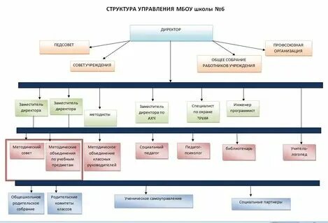 Руководители коллегиального органа управления организации
