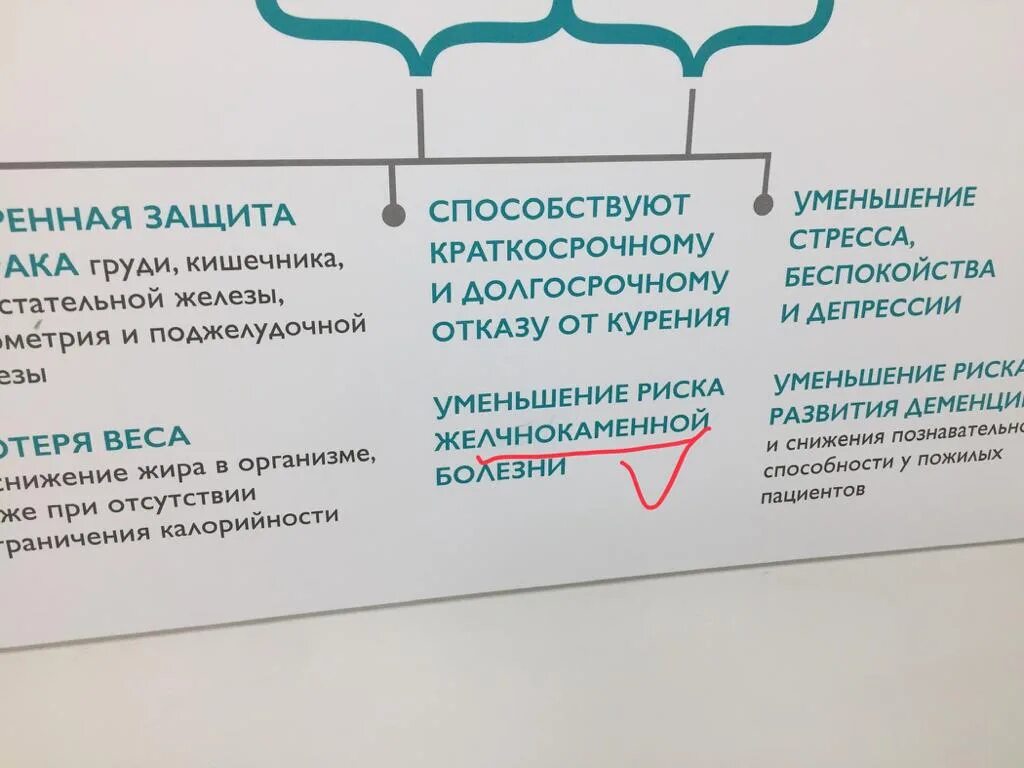 Полимедика Челябинск поликлиника. Братьев Кашириных 130а Полимедика. Врачи поликлиника Полимедика Челябинск. Полимедика в Великом Новгороде. Телефон полимедики в великом