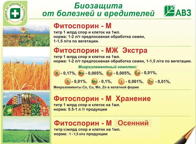 Фитоспорин весной. Обработка почвы фитоспорином осенью. Фитоспорин осенью. Фитоспорин осень. Обработка почвы осенью от болезней и вредителей.