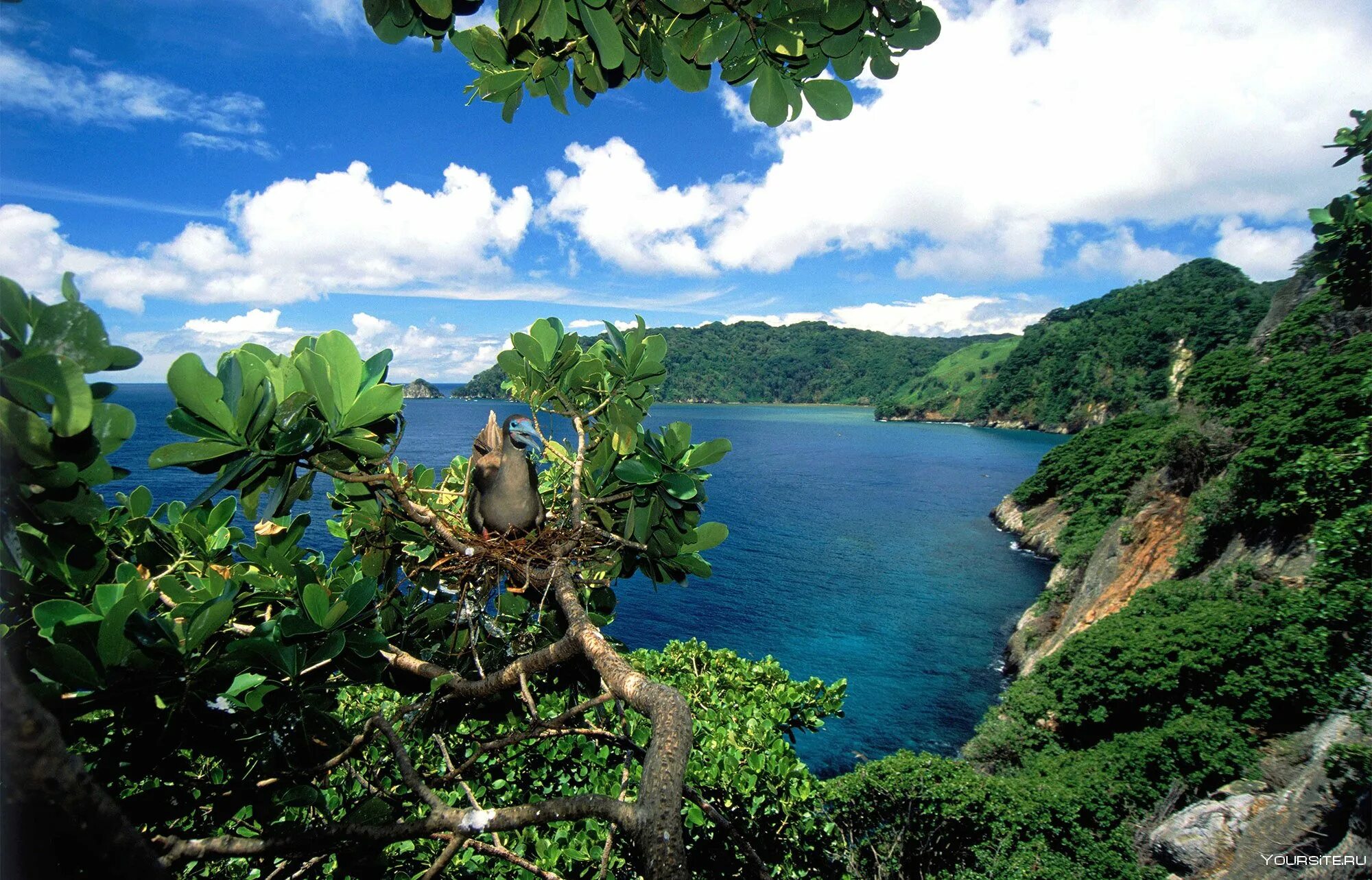 Тихий океан остров нублар. Остров кокос коста-рика. Остров исла-дель-коко. О кокос коста рика. Остров кокос коста-рика.