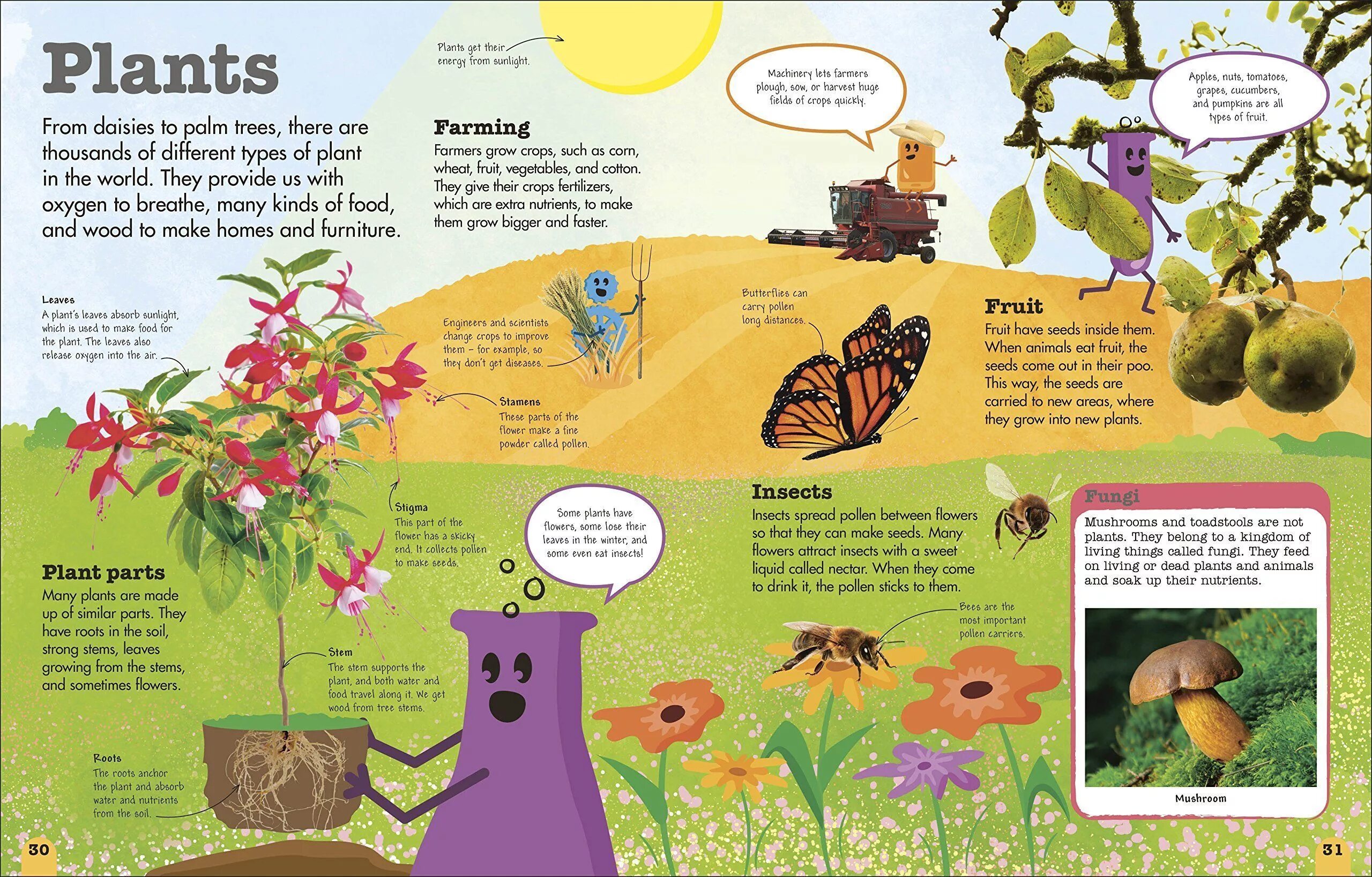 What goods were made from the plant. Eat the Fruit from the Tree. They eat Fruit and insects. Plants and Plant-eating animals. Fossils Dorling Kindersley Handbook.