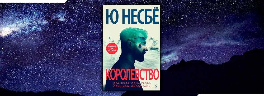 Несбе fb2 полные версии. Королевство несбе. несбе ю. &quot;королевство&quot;. несбё королевство книга. книга королевство (несбё ю).