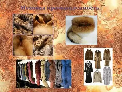 Легкая промышленность меха
