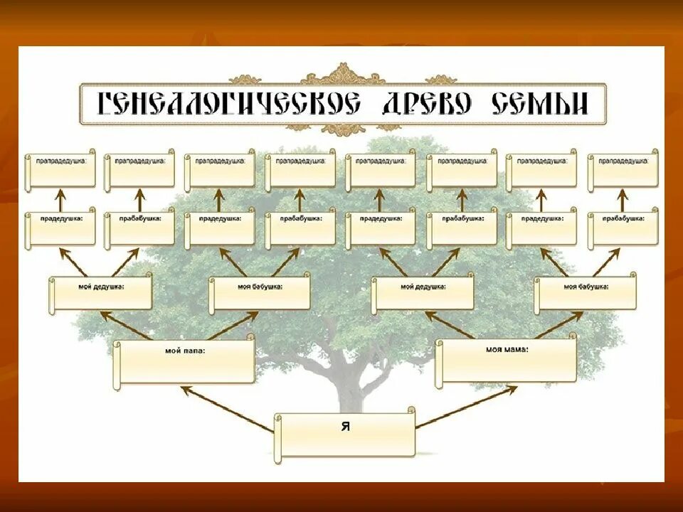 Составить родословную 3 класс. Как составить дерево родословной. родословная. составление схемы родословного древа, истории семьи.. родословная семьи схема дерево. составьте генеалогическое дерево родословная схема.