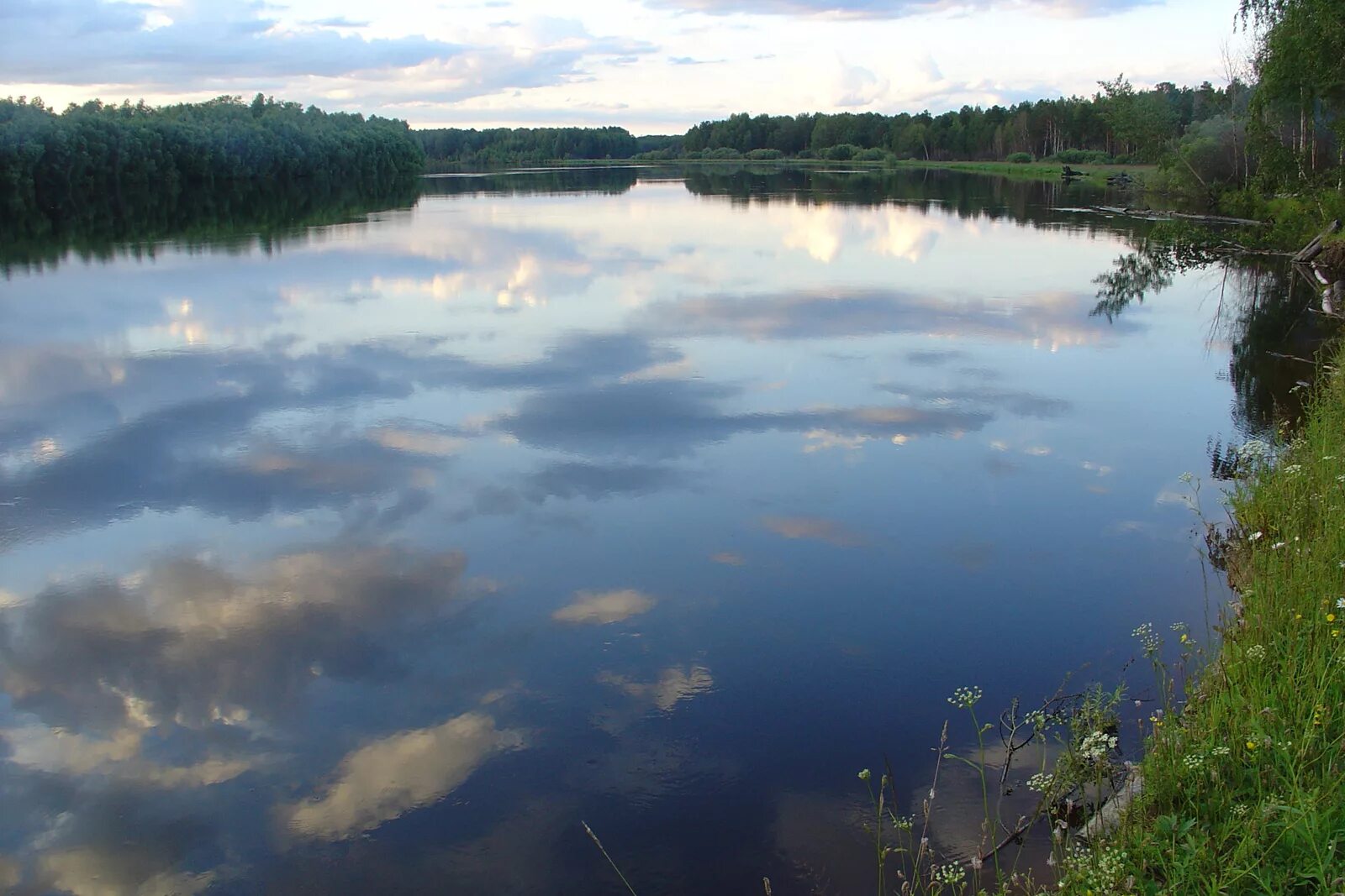 Какие водные объекты находятся в свердловской области. Река Тавда. Озера Тавды. Речка Тавда Свердловской области. Река Тавда в нижней Тавде.