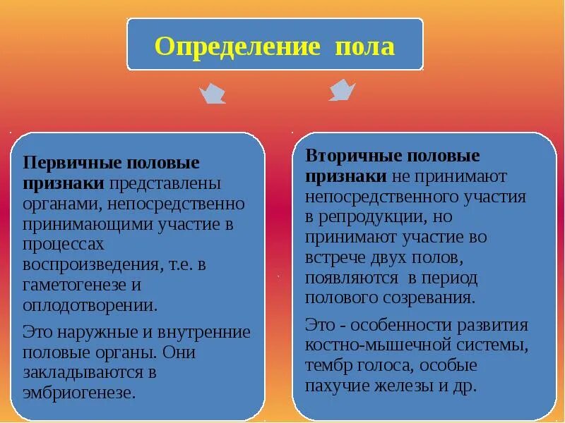 Первичные и вторичные половые признаки. Первичные и вторичные признаки пола. Вторичные половые признаки. Перечислите вторичные половые признаки женщины.