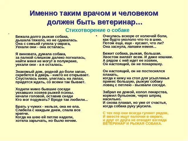 Найти слова доктор. Стих про ветеринара. Стихи про ветеринарного врача. Стихотворение про ветеринара для детей. День ветеринара стихи.