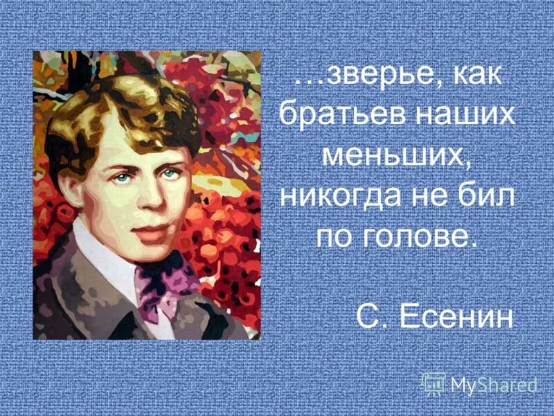 Есенин братьев наших меньших никогда не бил по голове. Есенин о животных. Есенин стихи о животных. Произведения Есенина о животных.