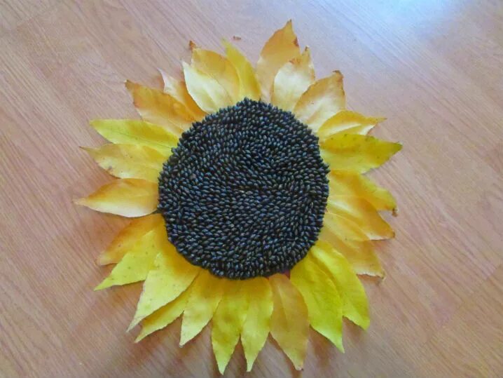 Час подсолнуха