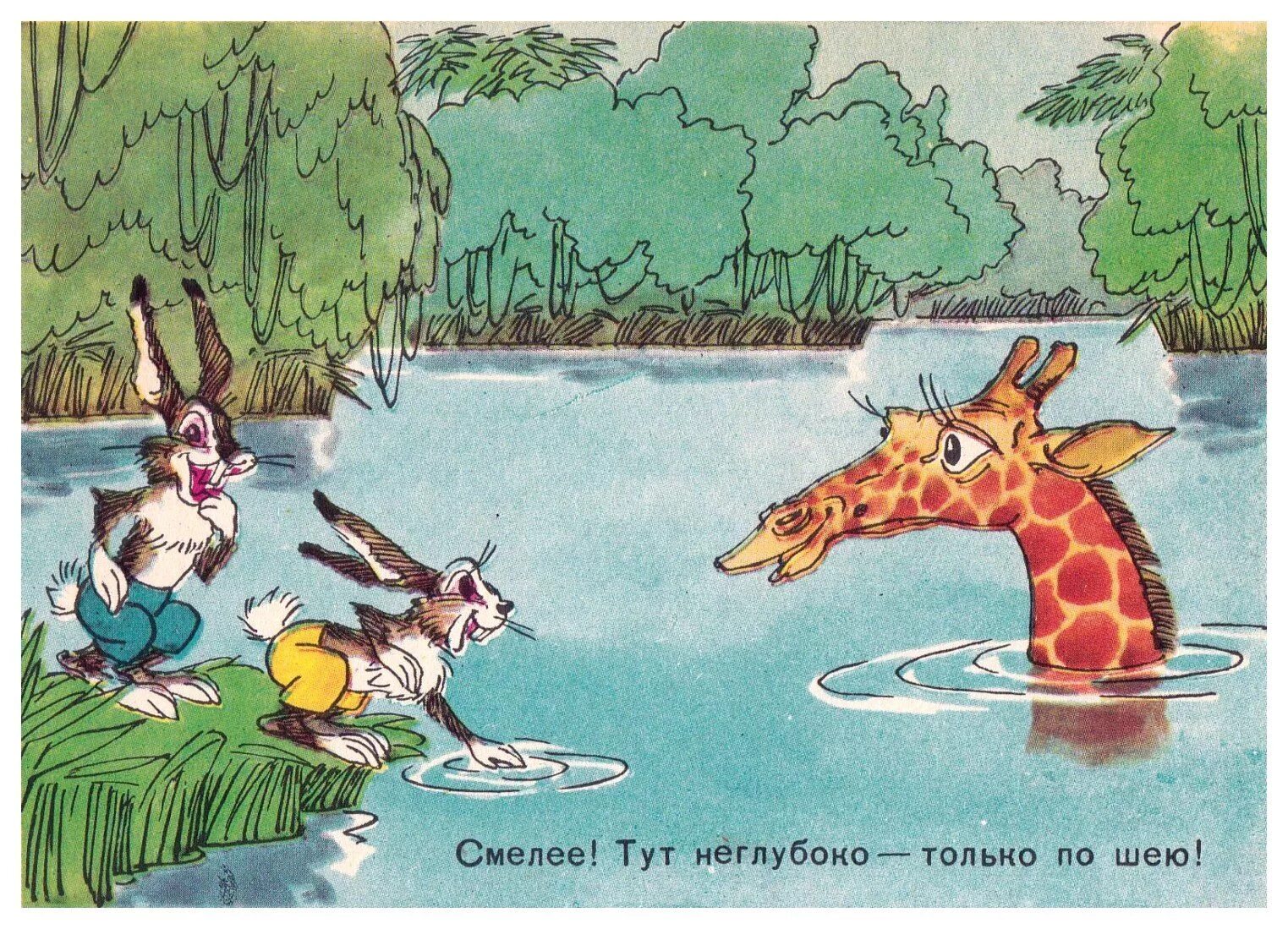 Шел тут. Здесь не глубоко. Здесь не глубоко Жираф. Баженов иллюстрации. Жираф в воде тут не глубоко.