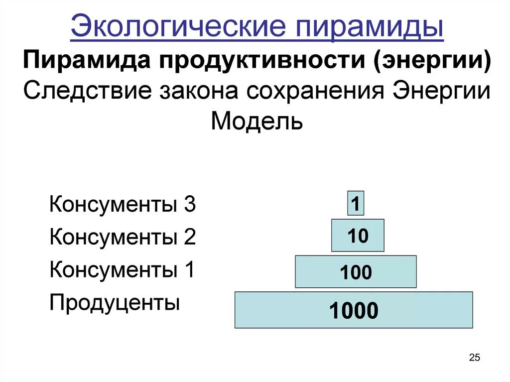Пирамида биомасс пирамида чисел пирамида энергии. Экологическая пирамида биомассы. Экологическая пирамида чисел Элтона. Экологические пирамиды пирамида биомасс. Экологическая пирамида биоценоза
