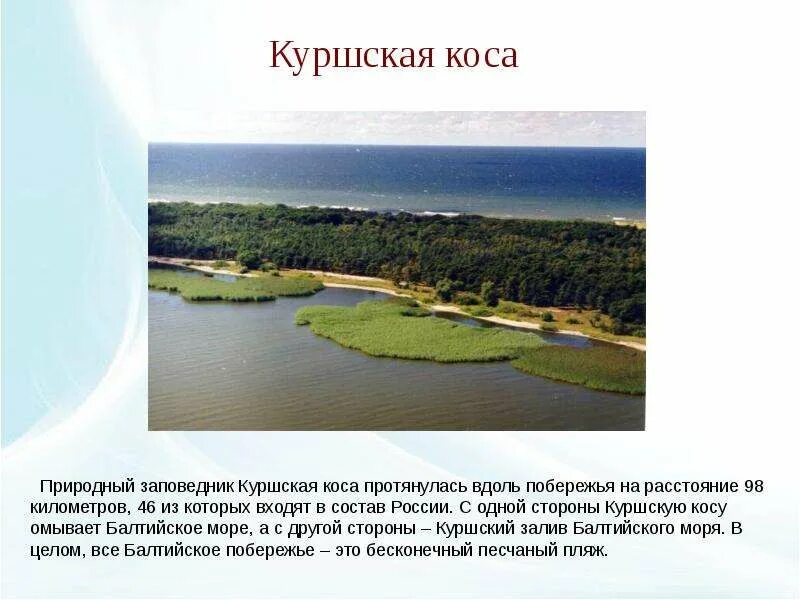 Сообщение про куршскую косу