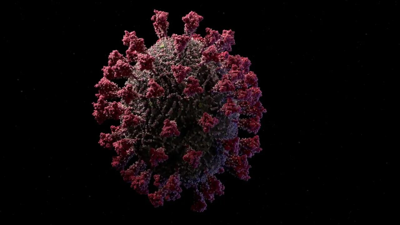 Вирус ковид 19. Coronavirus 3d. Коронавирус модель вируса. Атомарная модель коронавируса SARS-cov-2. Вирус флеров