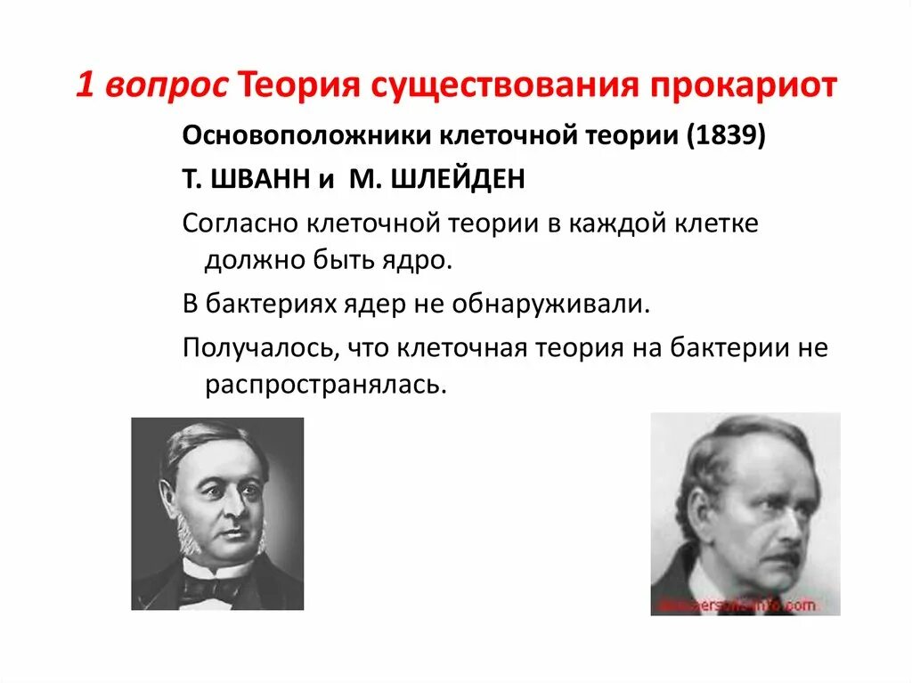 Приверженцы теории официальной народности. Майер термодинамика. Геккеля и ф. Н. Ломоносов закон сохранения массы веществ.