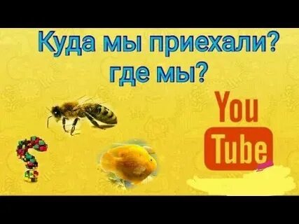 Но приехали