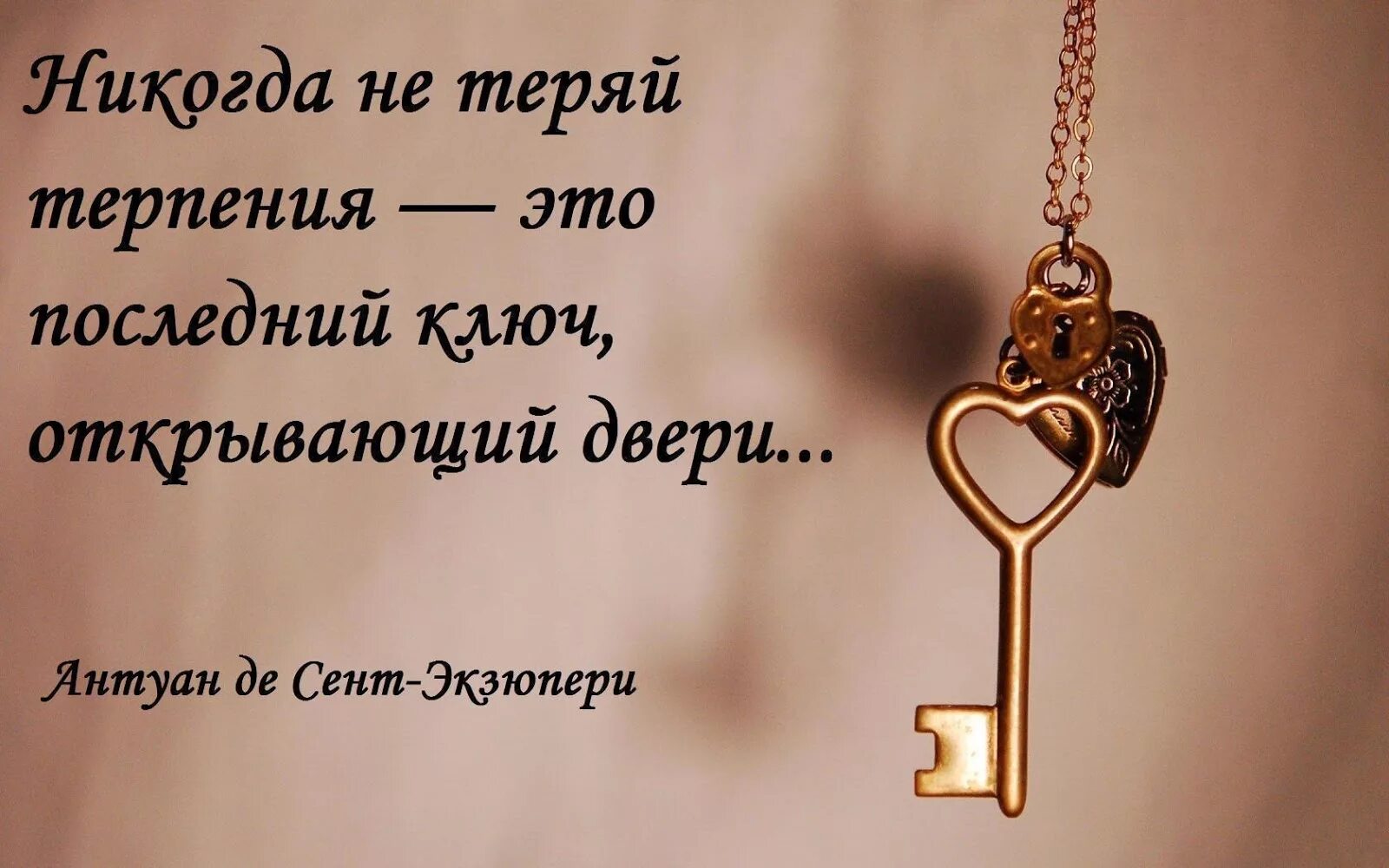 Не испытывайте мое терпение майер