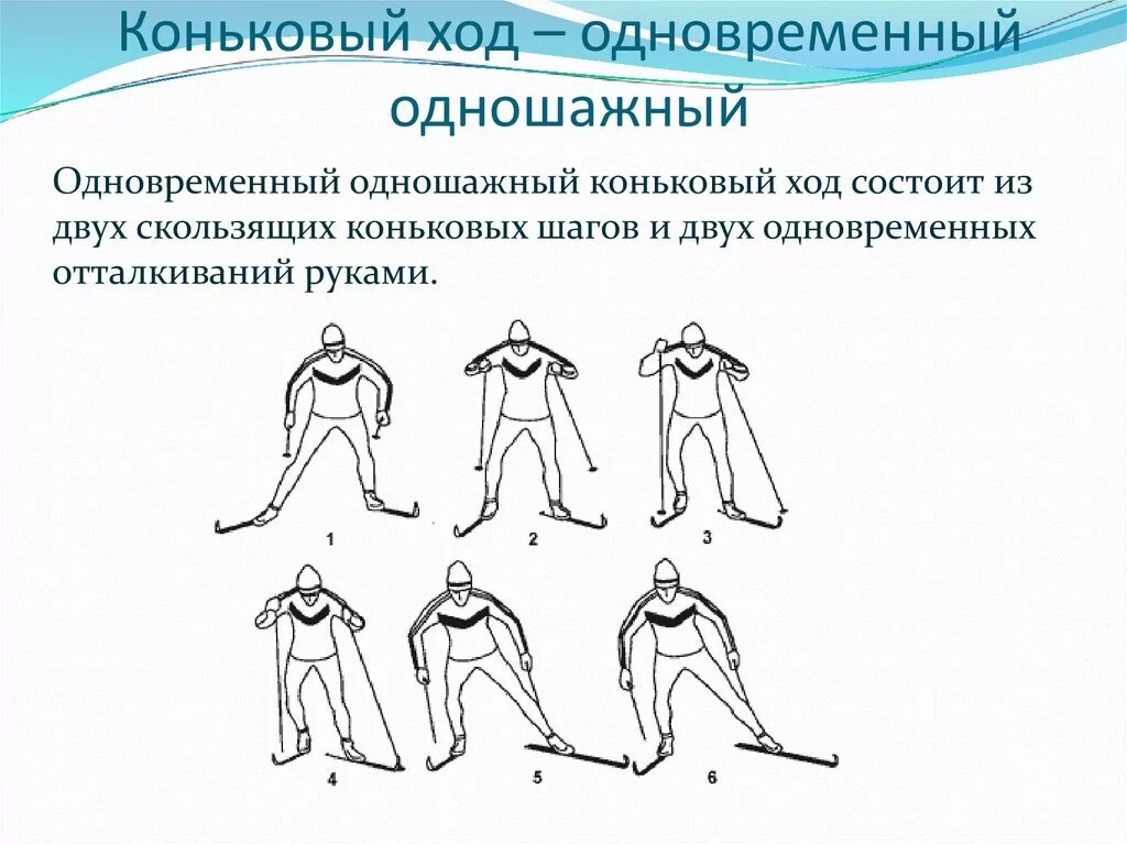 Коньковый ход с нуля. Техника лыжных ходов коньковый ход. Техника конькового хода на лыжах для начинающих. Подъемный коньковый ход. Попеременный двухшажный коньковый ход.