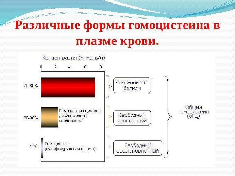 Анализ на гомоцистеин для чего. Повышение уровня гомоцистеина.