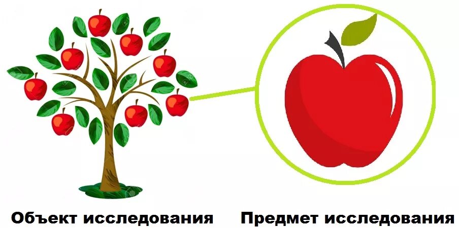 2 предмета и объекта