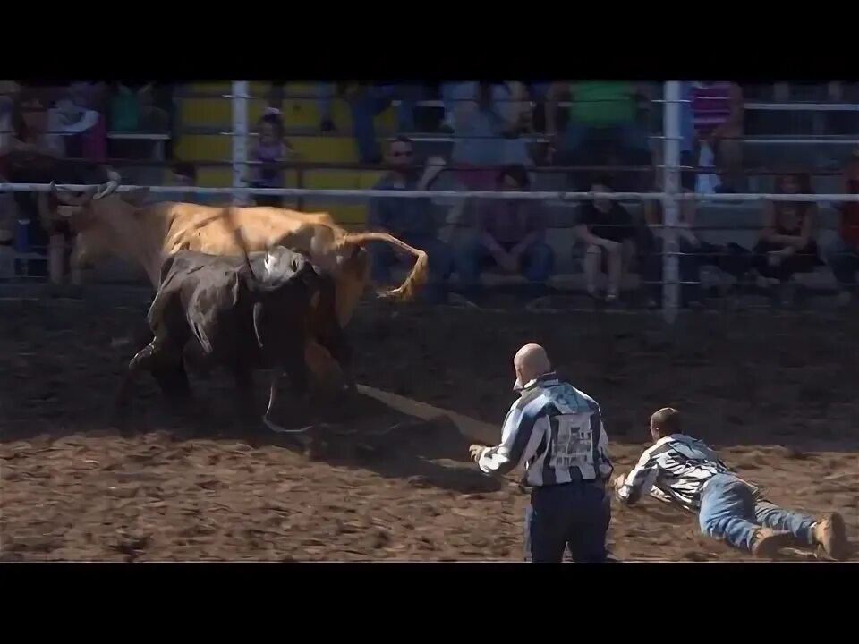 Immortalrodeo видео. The rodeo is a really