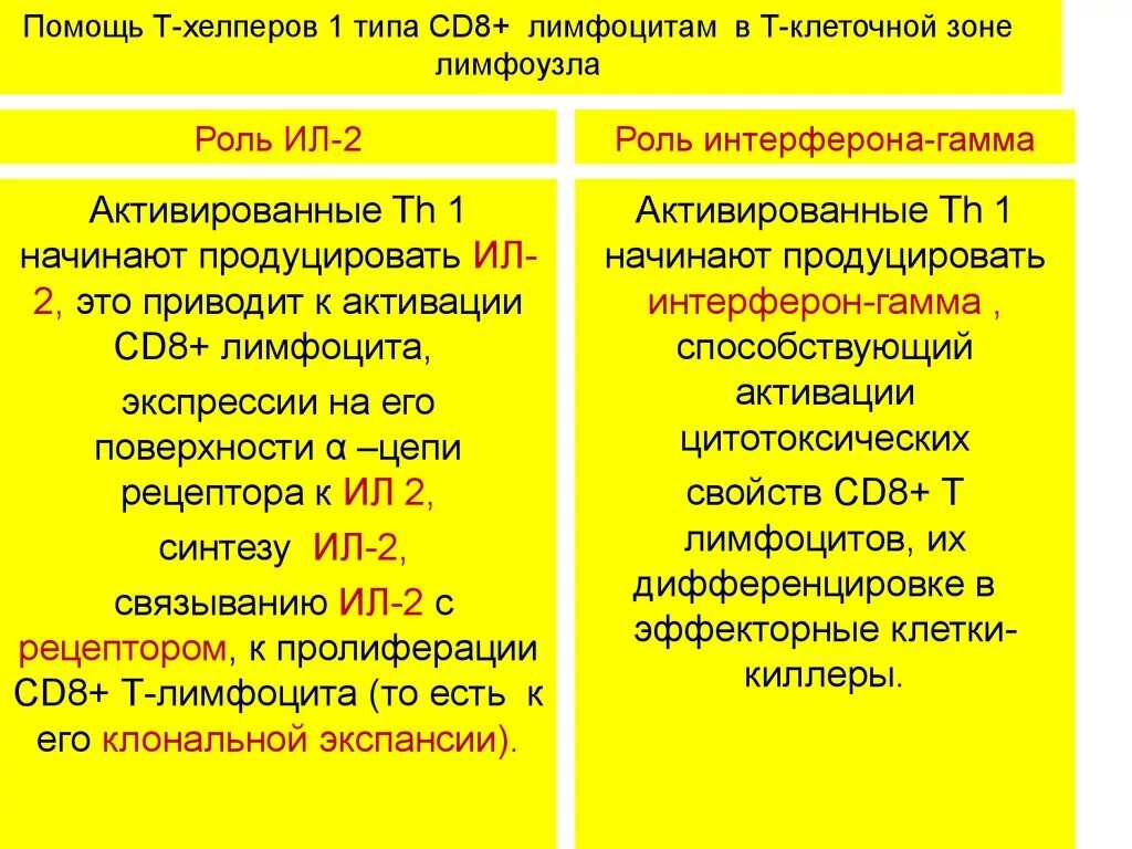 Т хелпер 1 и 2. Роль т – лимфоцитов – хелперов 1 типа.. т лимфоциты 1 и 2 типа. роль т хелперов 1 типа.