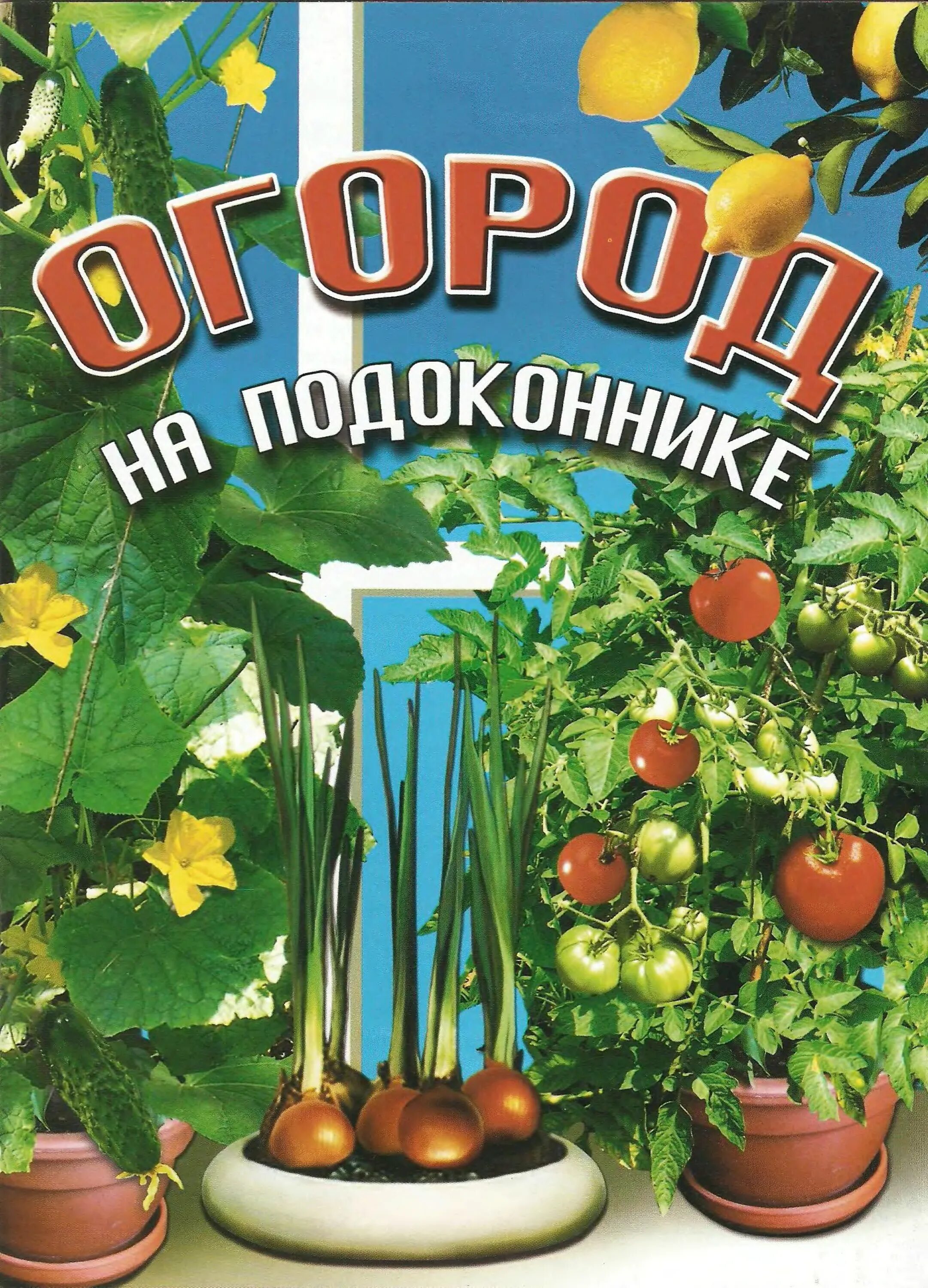 Огород на окошке в детском саду. Поляна сказок презентация. Надпись огород на подоконнике в детском саду буквами. Таблички с овощами на огород в детском саду. Огород на подоконнике в детском саду надпись.