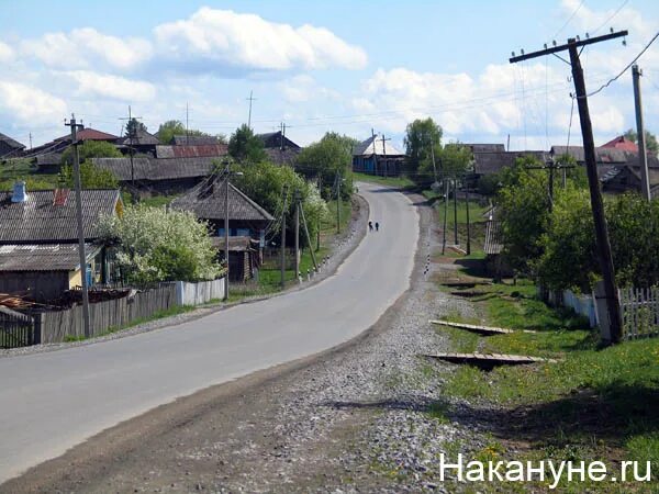 Мугай свердловская область приют. Погода мугай. Мугай свердловская область приют. Коми активисты. Деревня мугай.