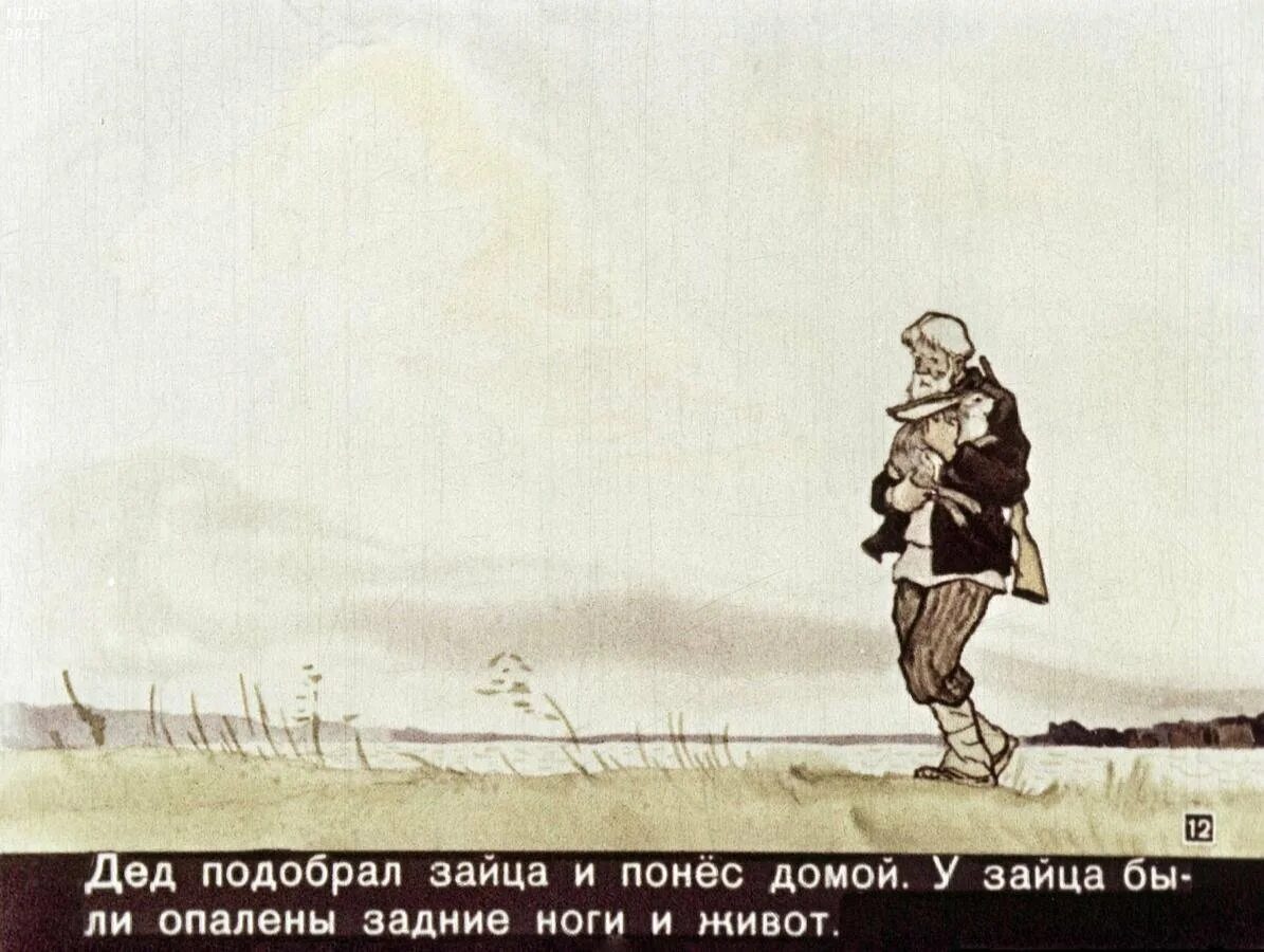 Размышляем о прочитанном 5 класс заячьи лапы. Заячьи лапы паустовский рисунок. дед и заяц паустовский.