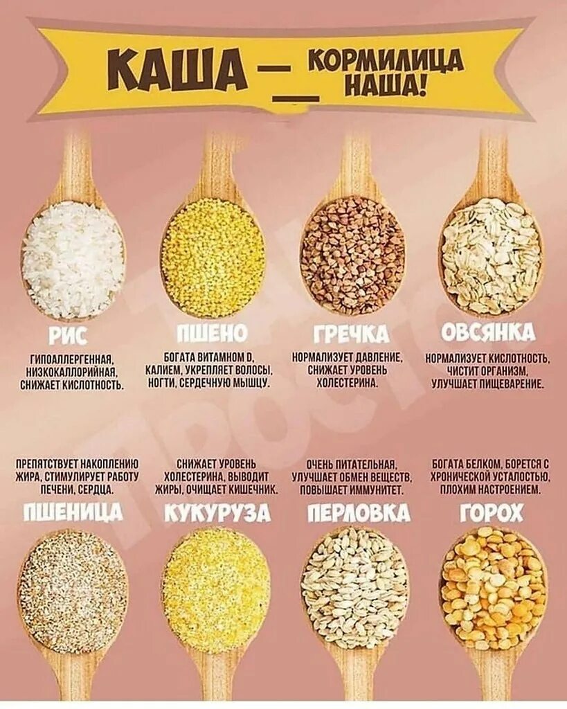 Какие бывают каши