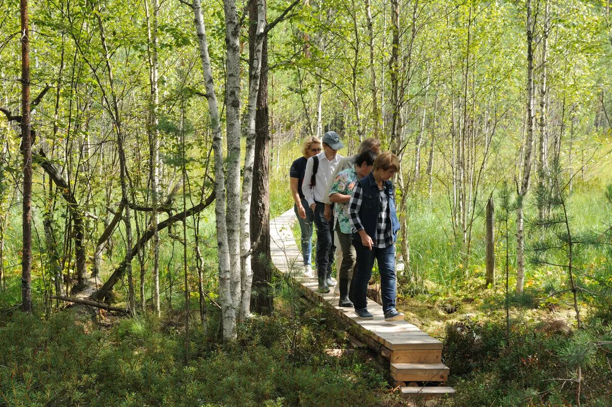 школьная тропа. экотропа в школе. экологические тропы в школе. экологические тропинки в школе. путешествие по экологической тропинке.