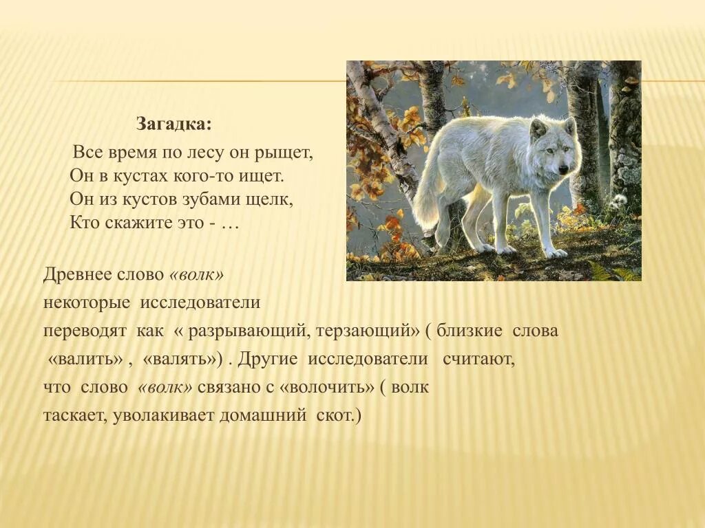 Происхождение слова волк. Текст про волка. Слова волка. Проект про волка. Текст волк и собака