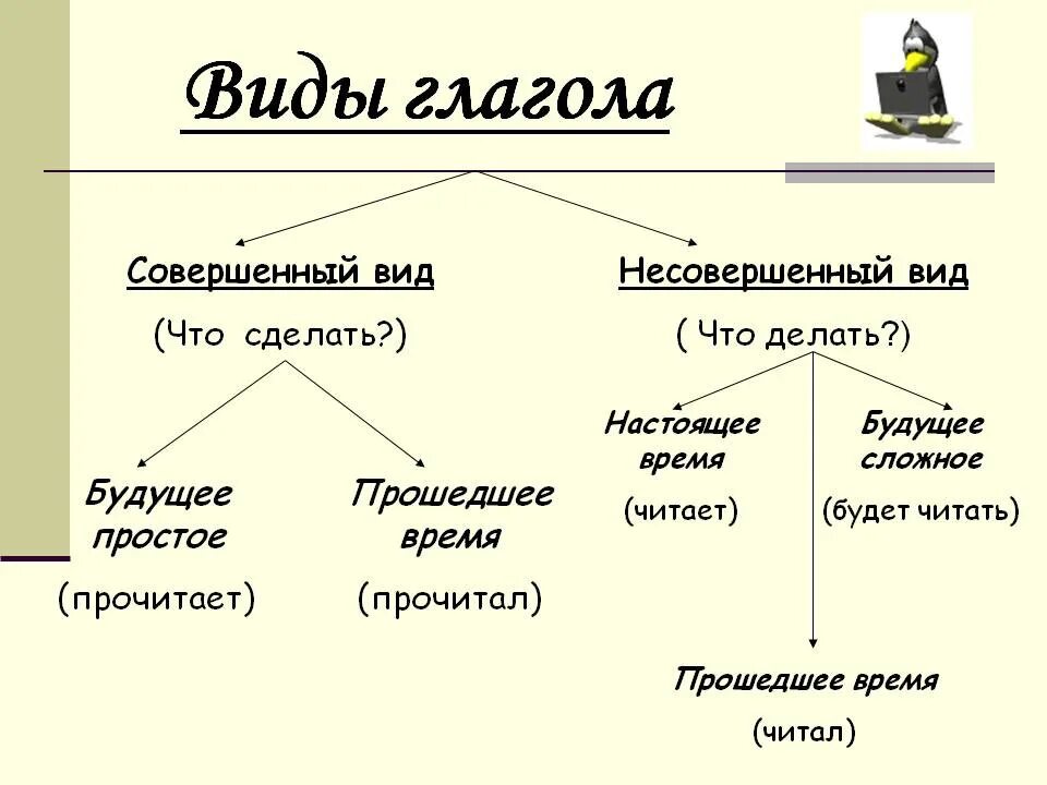 Какие виды имеет глагол