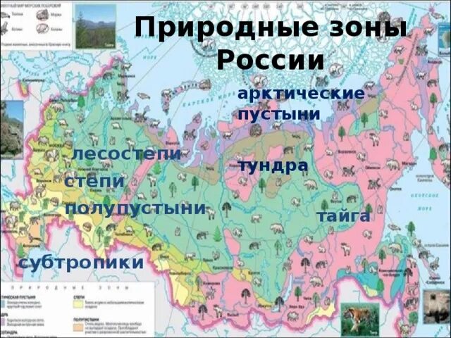 Природно хозяйственные зоны россии на карте цдз