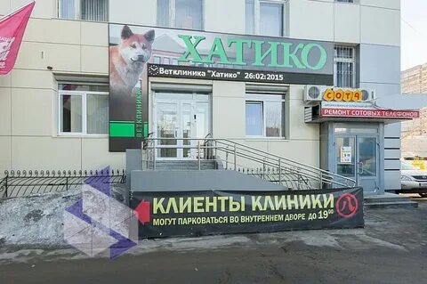 Отзывы клиники хатико