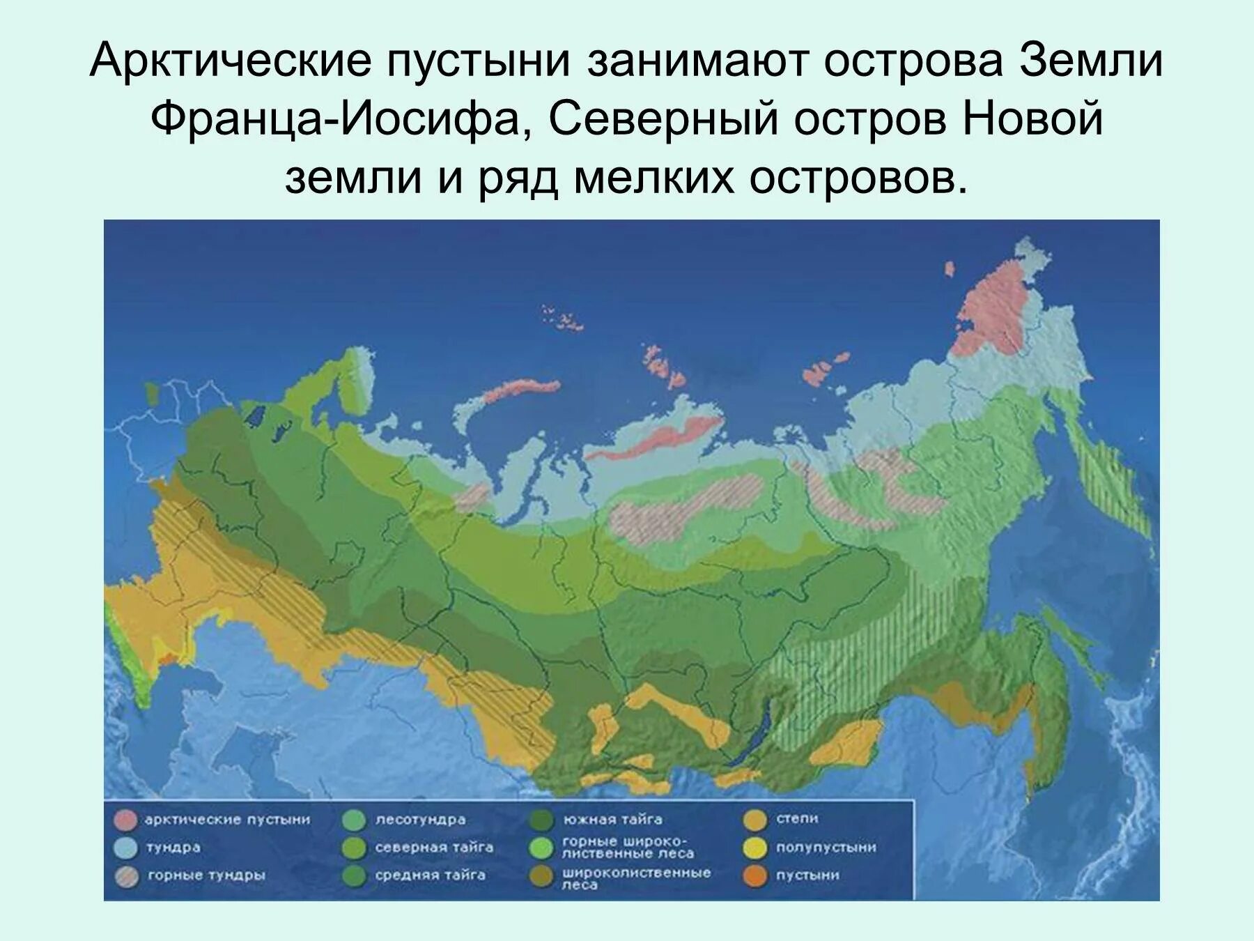 Зона арктических пустынь на карте России. Арктические пустыни на карте России. Зона арктических пустынь расположение. Арктическая пустыня на карте России. Зона тундры расположена между зоной и зоной