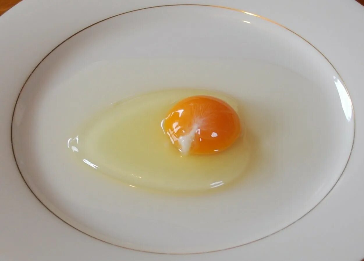 В яичном белке вода. Сырое яйцо. Сальмонелла в курином яйце. Желток яйца.