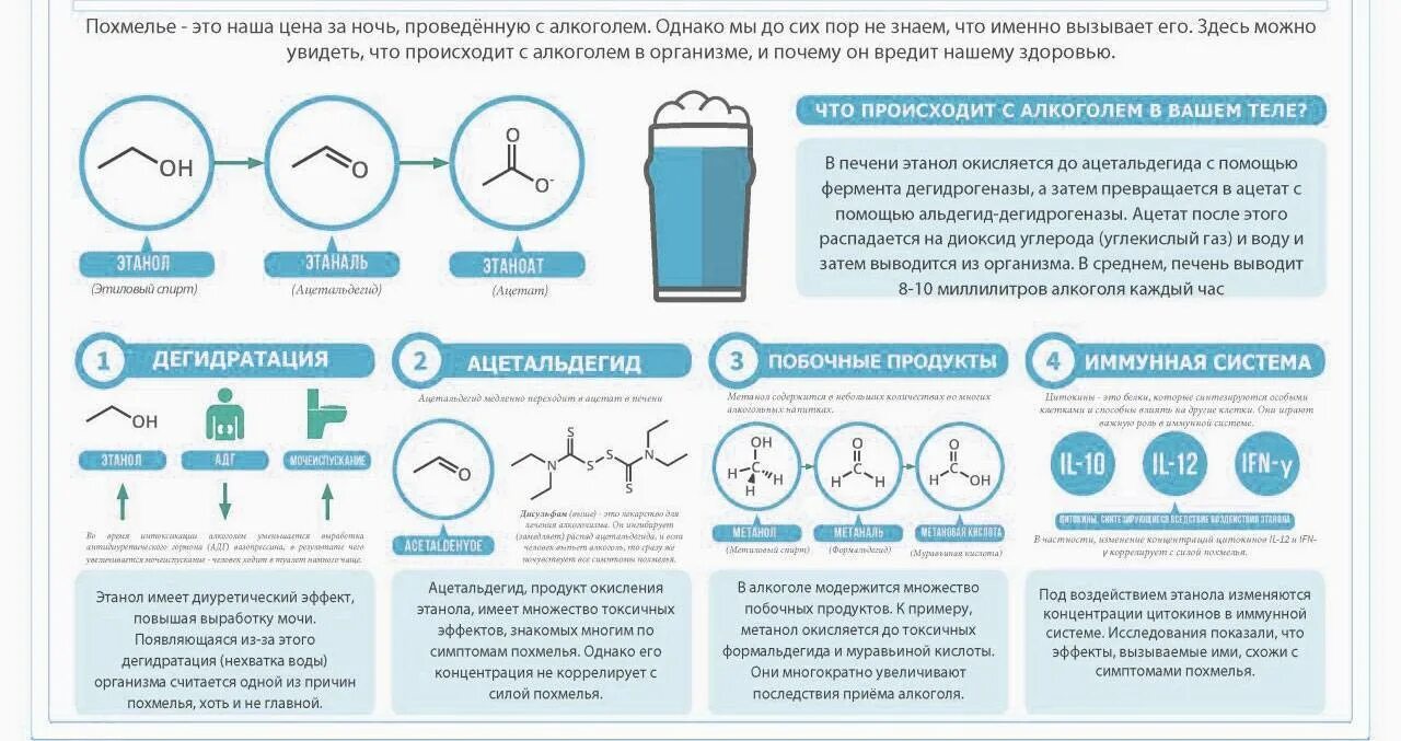 При похмелье. Сколько длится похмелье. Алкоголь от похмелья. Алкогольное похмелье симптомы.