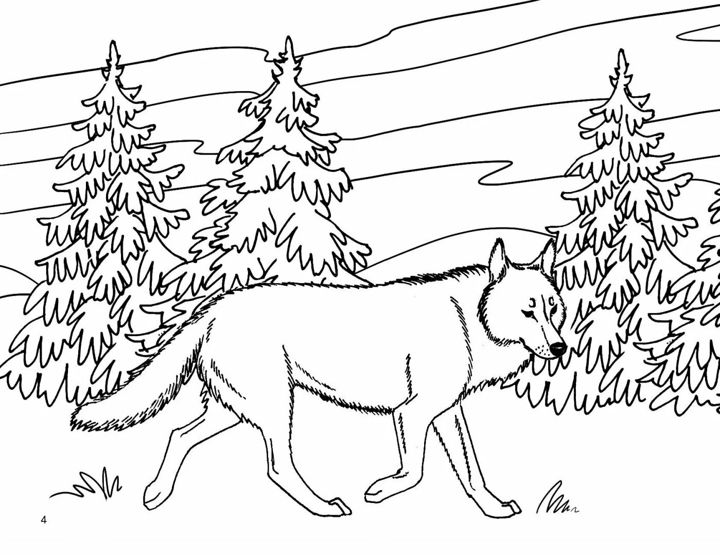 Рисунки лесных животных