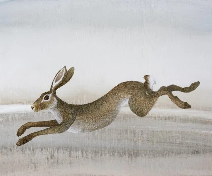 Hare of the cog