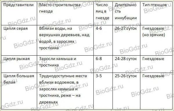 Отряды птиц таблица 7 класс биология. Таблица биология отряды птиц. Таблица отряды птиц по биологии 7. Биология 7 кл отряды птиц таблица.