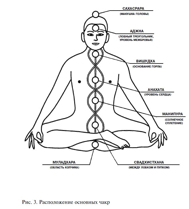 Анатомия человека солнечное сплетение. Свадхистана чакра расположение. Точка на руке Свадхистана чакра. Чакры человека схема.