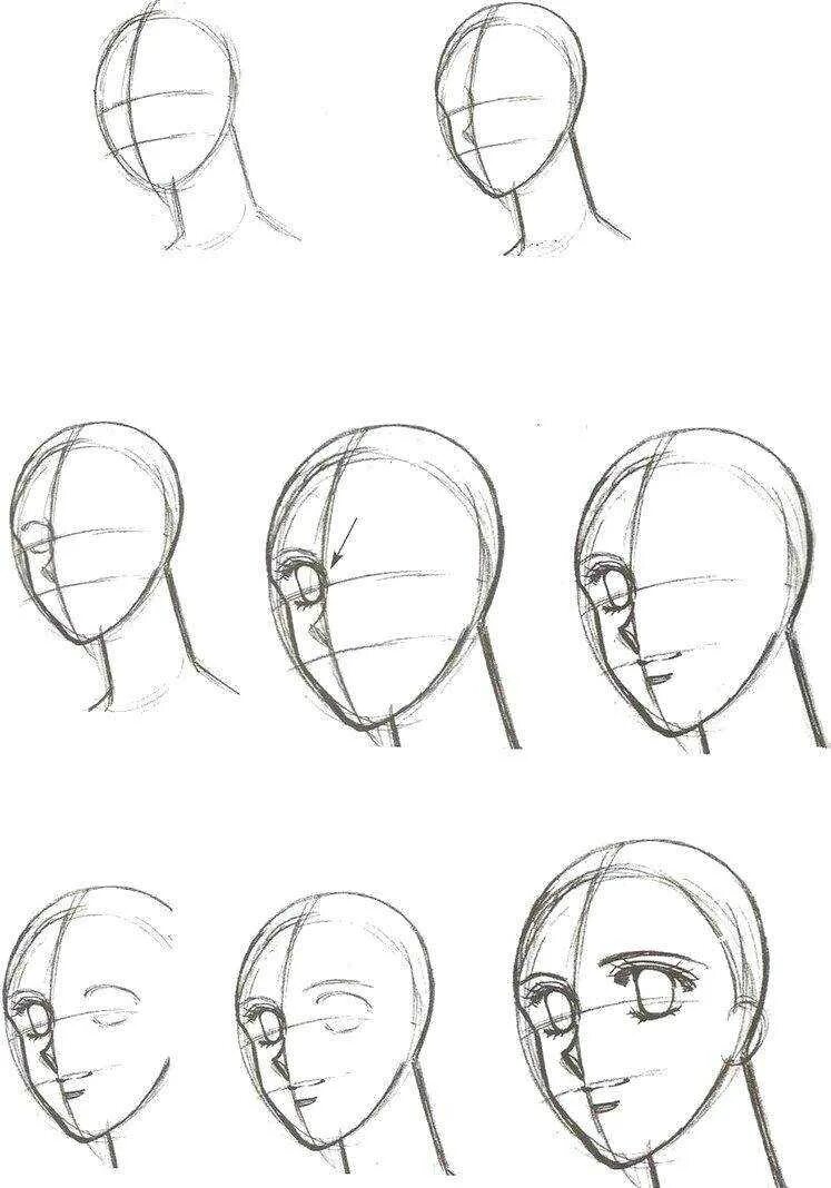 Лицо рисунок поэтапно. Пошаговое рисование лица. Этапы рисования головы. Поэтапное рисование головы. Пошаговое рисование лица человека.