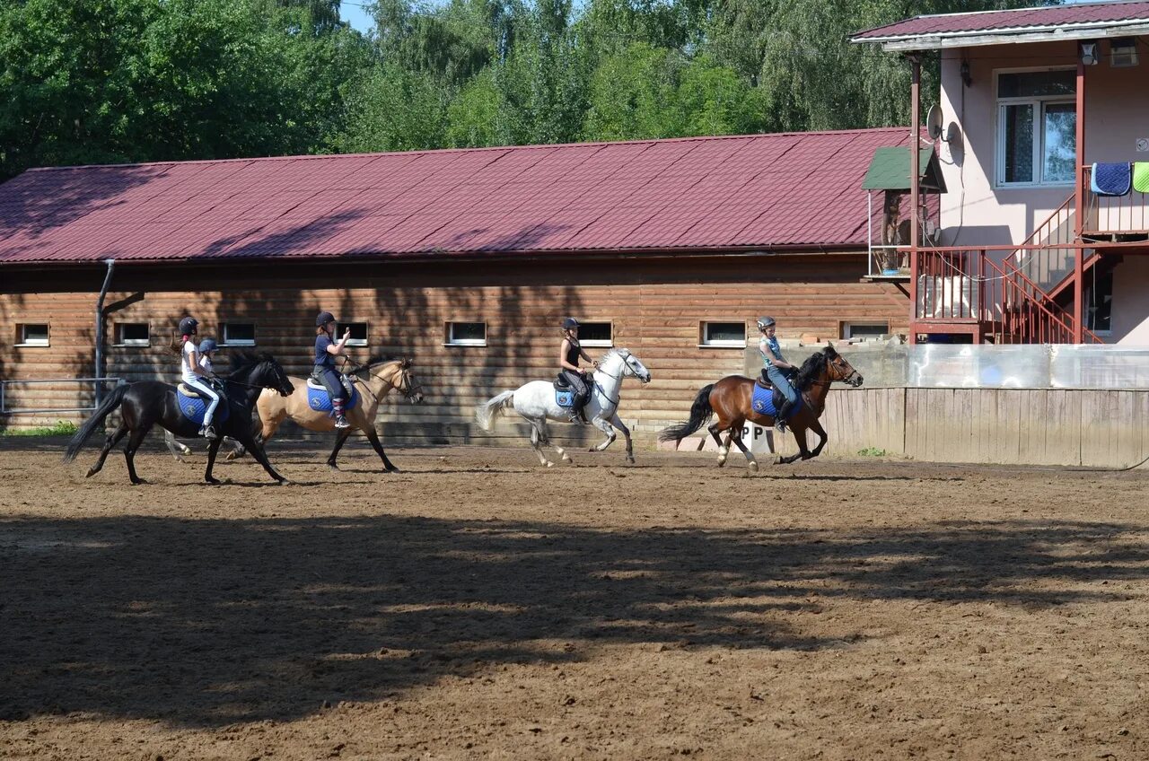 Конно спортивная улица. КСК Матадор Нагорное. КСК Матадор Лианозово. Конный клуб Матадор в Лианозово. КСК Матадор лошади.