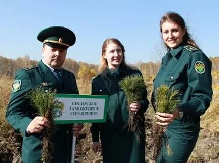 Таможенник новосибирск
